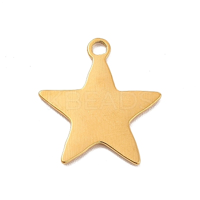 Ion Plating(IP) 304 Stainless Steel Pendants STAS-F282-05G-1