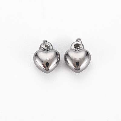 Non-Tarnish 304 Stainless Steel Charms STAS-N097-102P-NR-1