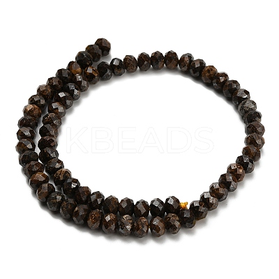 Natural Bronzite Beads Strands G-Z111-A25-1