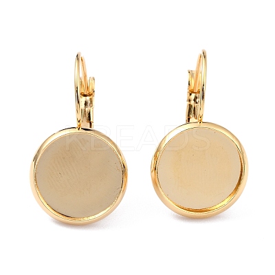304 Stainless Steel Leverback Earring Settings STAS-F191-03G-6mm-1