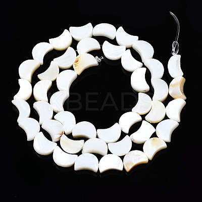 Natural Freshwater Shell Beads Strands X-SHEL-N026-151-1