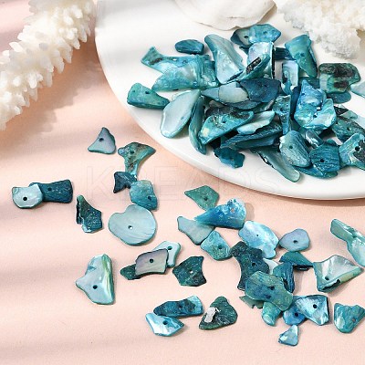 Dyed Natural Mother of Pearl Shell Nuggets Chips Beads BSHE-O007-10A-1