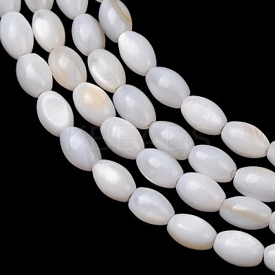 Natural Freshwater Shell Beads Strands SH-CBA2978-06A-1