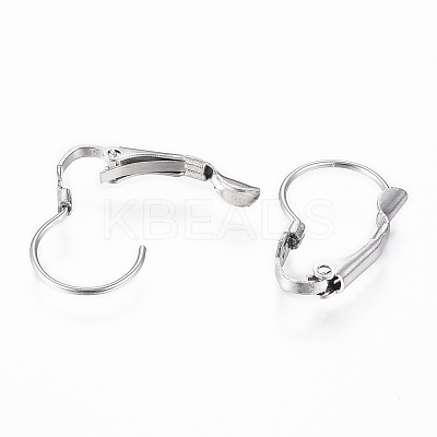 Tarnish Resistant 304 Stainless Steel Leverback Earring Findings X-STAS-G161-20B-1
