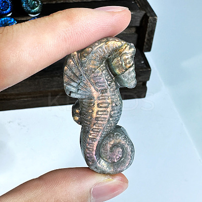 Natural Labradorite Carved Healing Sea Horse Figurines PW-WG19543-01-1