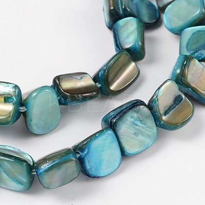 Shell Beads Strands X-PBB051Y-1