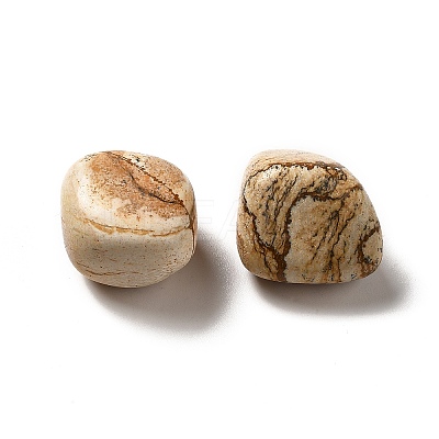 Natural Picture Jasper Beads G-G979-A02-1