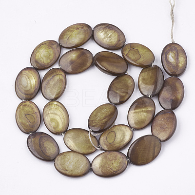 Freshwater Shell Beads Strands SHEL-S274-37B-1