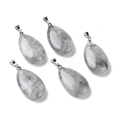 Natural Labradorite Pendants G-D084-01P-B22-1