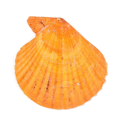 Undyed Natural Scallop Shell Big Pendants SHEL-T020-01-1
