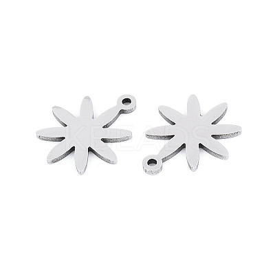304 Stainless Steel Charms STAS-P433-03P-1