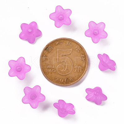 Transparent Acrylic Beads X-PL554-17-1