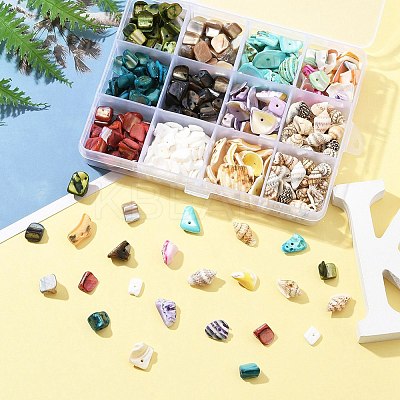198G 11 Styles Natural Mixed Shell Beads Sets BSHE-FS0001-05-1