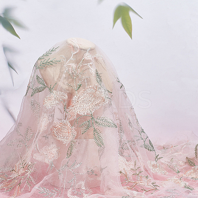 Mesh Embroidered Lace Fabric OCOR-WH0082-22-1