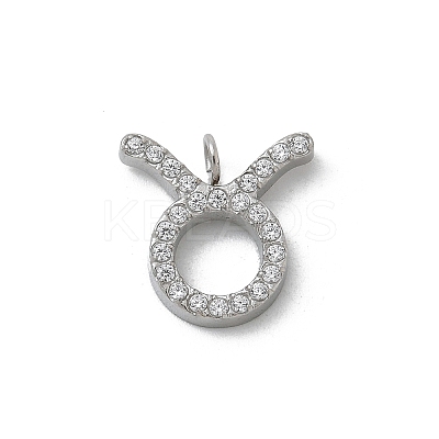 304 Stainless Steel Micro Pave Cubic Zirconia Charms STAS-Z107-09P-03-1