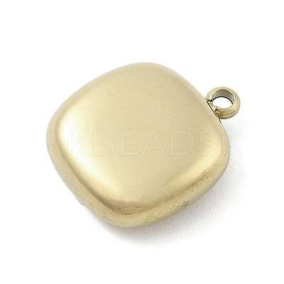316 Surgical Stainless Steel Charms LS-STAS-S159-02C-G-1