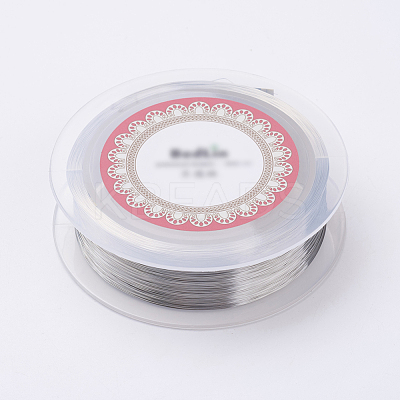 Steel Wire TWIR-E001-0.2mm-1