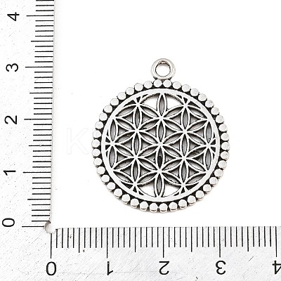 Tibetan Style Alloy Pendants AL-CBA1187-16AS-1