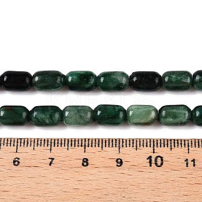 Natural Fuchsite Beads Strands G-G980-34B-1