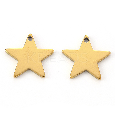 PVD Vacuum Plating 304 Stainless Steel Charms X-STAS-N092-67G-1