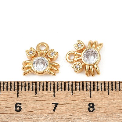 Ocean Theme Brass Micro Pave Cubic Zirconia Charms X1-KK-F902-08E-G-1