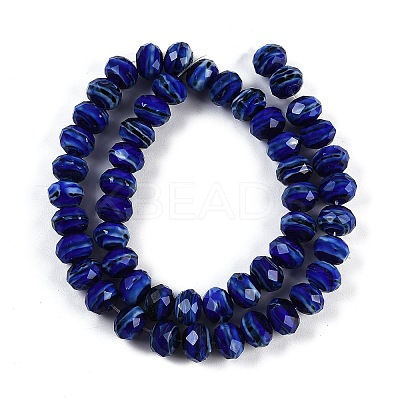 Handmade Lampwork Beads Strands LAMP-T007-13H-1