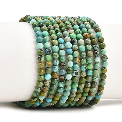 Natural HuBei Turquoise Beads Strands G-D100-A01-3mm-1
