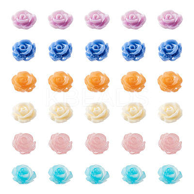 60Pcs 6 Colors Rose Shell Beads BSHE-CW0001-01-1
