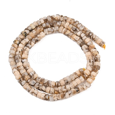 Natural Feldspar Beads Strands G-G345-C17-2x4mm-1