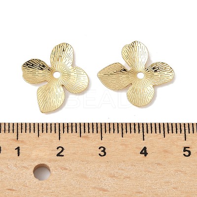 Brass Bead Caps KK-V015-02G-01-1