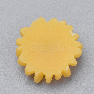 Resin Cabochons LS-CRES-Q197-24E-1