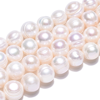 Natural Cultured Freshwater Pearl Beads Strands PEAR-S020-F11-01-1
