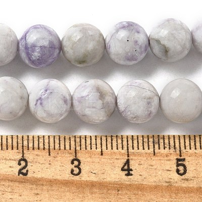 Natural Purple Turquoise Beads Strands G-L595-C04-02-1