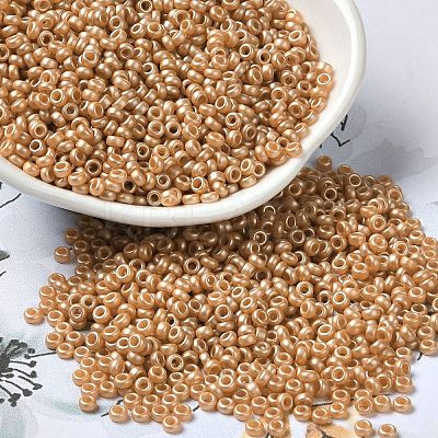 Baking Paint Glass Seed Beads SEED-P006-03A-24-1