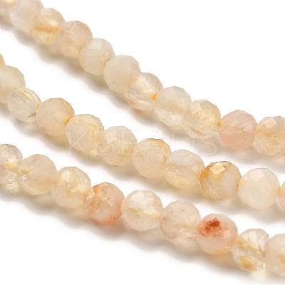 Natural Citrine(Heated) Beads Strands LS-G-G155-B03-01-1