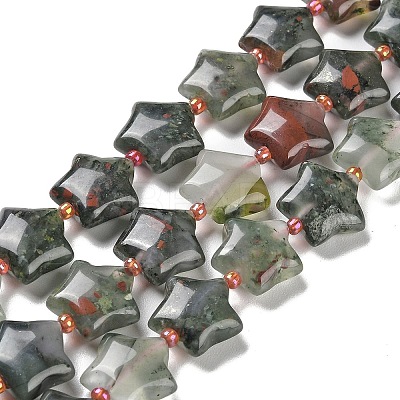 Natural African Bloodstone Beads Strands G-NH0005-003-1