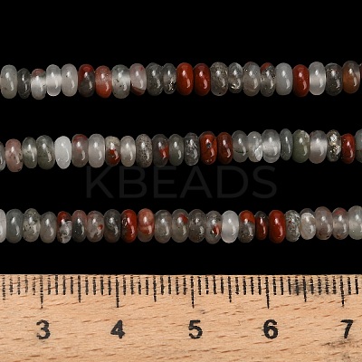 Natural African Bloodstone Beads Strands G-L635-A28-4x2mm-1