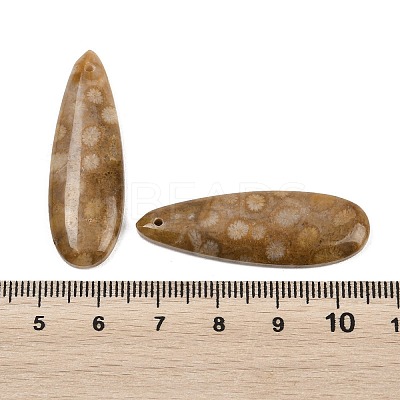 Natural Fossil Coral Pendants G-B187-01C-05-1