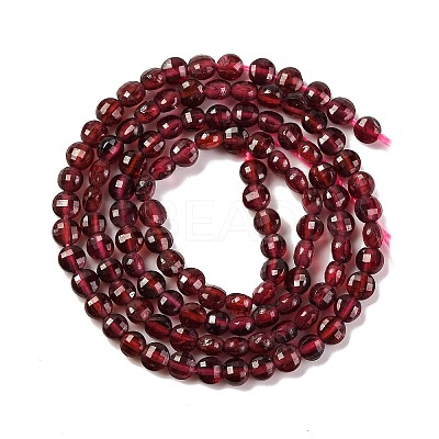Natural Garnet Beads Strands G-F770-B02-01-1