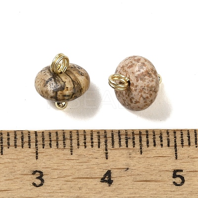 Natural Picture Jasper Rondelle Charms with Rack Plating Brass Loops G-G110-05B-11-1