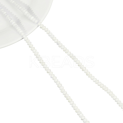 2 Strands Natural Freshwater Shell Beads Strands SHEL-NB0001-51-1