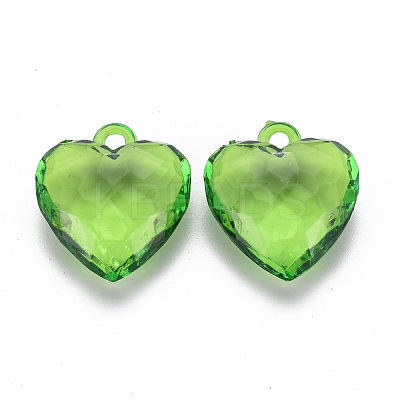 Transparent Acrylic Pendants TACR-T024-03B-925-1