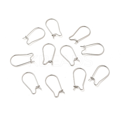 Tarnish Resistant 316 Surgical Stainless Steel Hoop Earrings Findings Kidney Ear Wires LS-STAS-E009-6-1