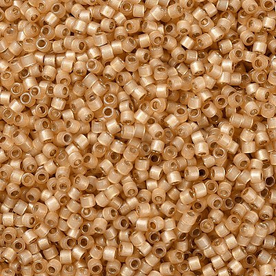 MIYUKI Delica Beads SEED-X0054-DB2171-1