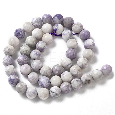 Natural Purple Turquoise Beads Strands G-L595-C04-02-1