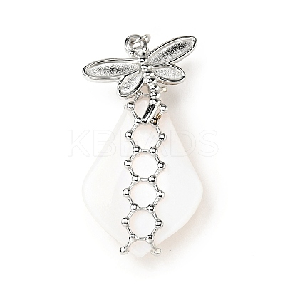Natural White Shell Pendants SSHEL-C010-03P-1