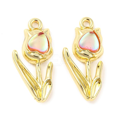 Rack Plating Alloy Pendants PALLOY-D023-14G-02-1