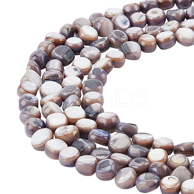 5 Strands Natural Freshwater Shell Beads Strands SHEL-CA0001-012-1