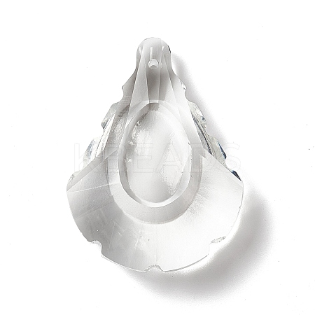 Transparent Glass Pendants LS-GLAA-F118-09-1
