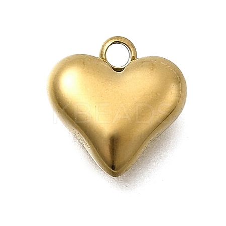 304 Stainless Steel Charms STAS-Z163-03G-1